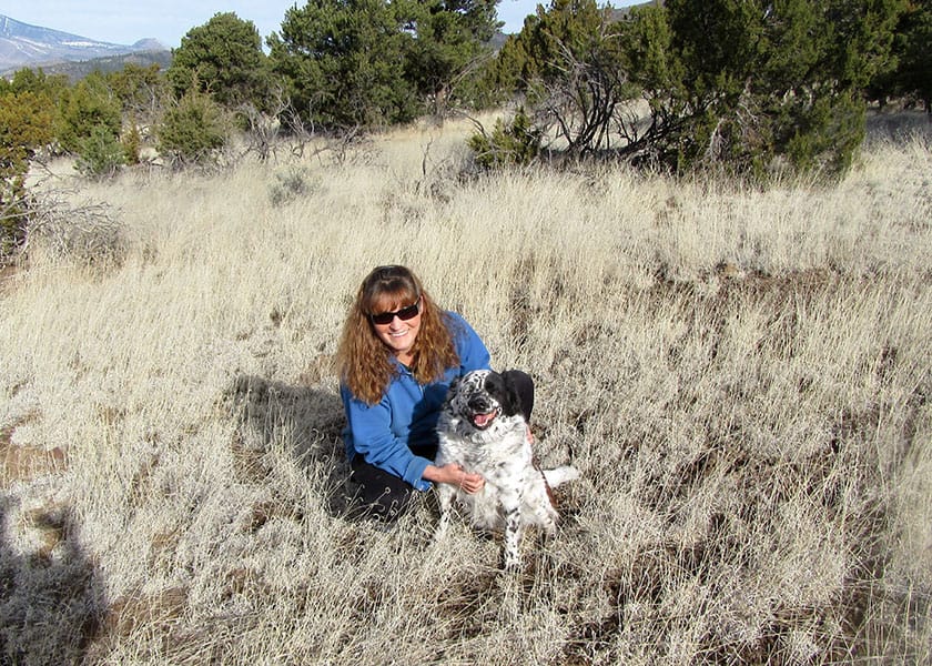 Photo Gallery Cinder Hills Kennels Flagstaff