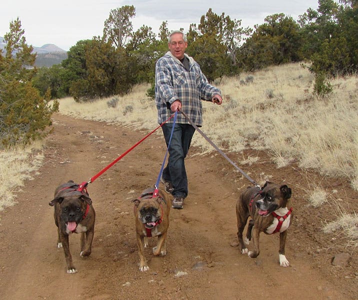 Photo Gallery Cinder Hills Kennels Flagstaff