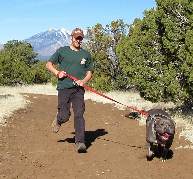 Photo Gallery Cinder Hills Kennels Flagstaff