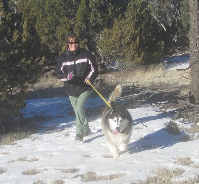 Photo Gallery Cinder Hills Kennels Flagstaff