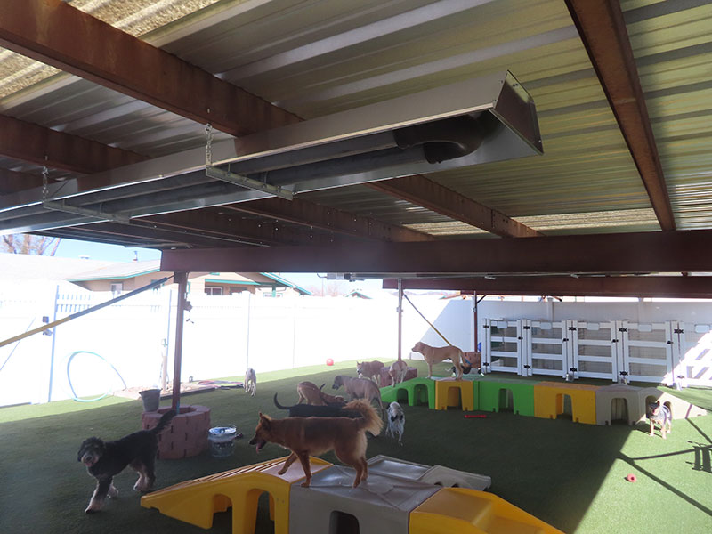 Photo Gallery Cinder Hills Kennels Flagstaff