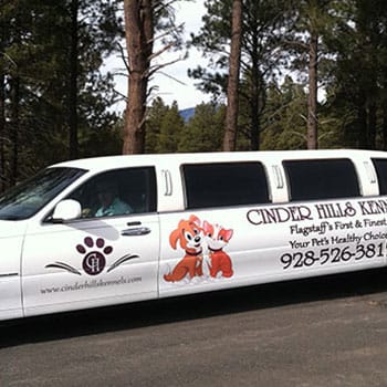 dog transportation flagstaff az